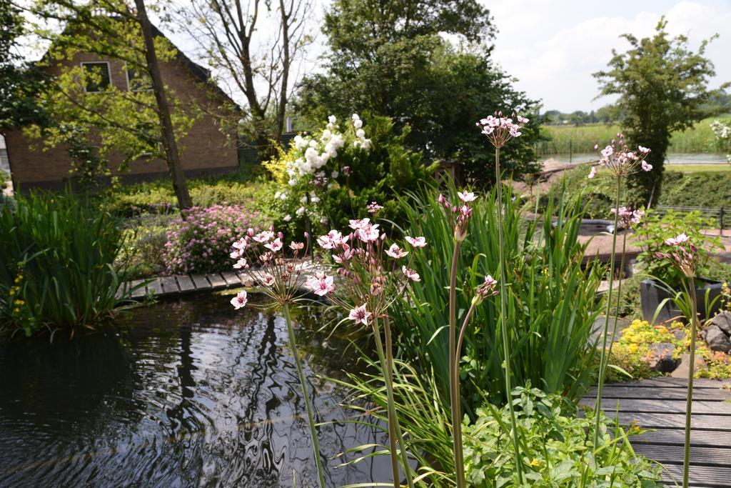 Guest House Aan De Hollandse Ijssel Montfoort Kültér fotó